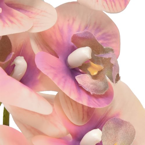 Artikel Orchidee Phalaenopsis künstlich 7 Blüten Violett Creme 73cm