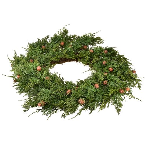 Floristik24 Tannenkranz Thuja mit Knospen Basis Rebenkranz Ø50cm