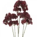 Floristik24 Sedum künstlich Rot Fetthenne Herbstdeko 70cm 3St