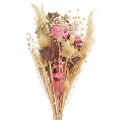 Floristik24 Trockenstrauß Lotos Flachs Distel Rosa Creme 50cm 100g