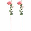 Floristik24 Künstliche Dahlien in Pfirsich Rosa Ø10cm L80cm 2St